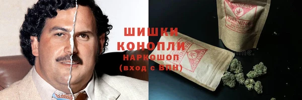 ГАЛЛЮЦИНОГЕННЫЕ ГРИБЫ Балабаново
