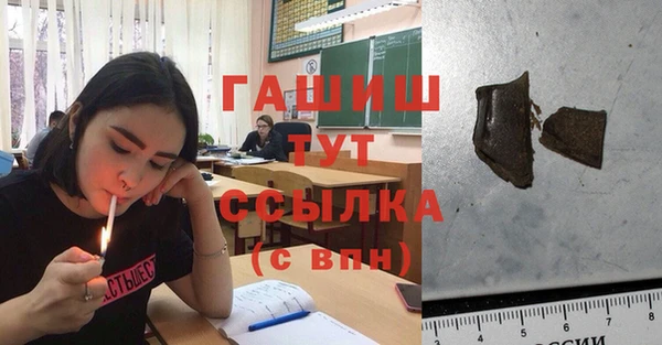 гашик Балахна