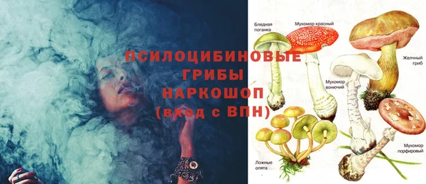 ГАЛЛЮЦИНОГЕННЫЕ ГРИБЫ Балабаново